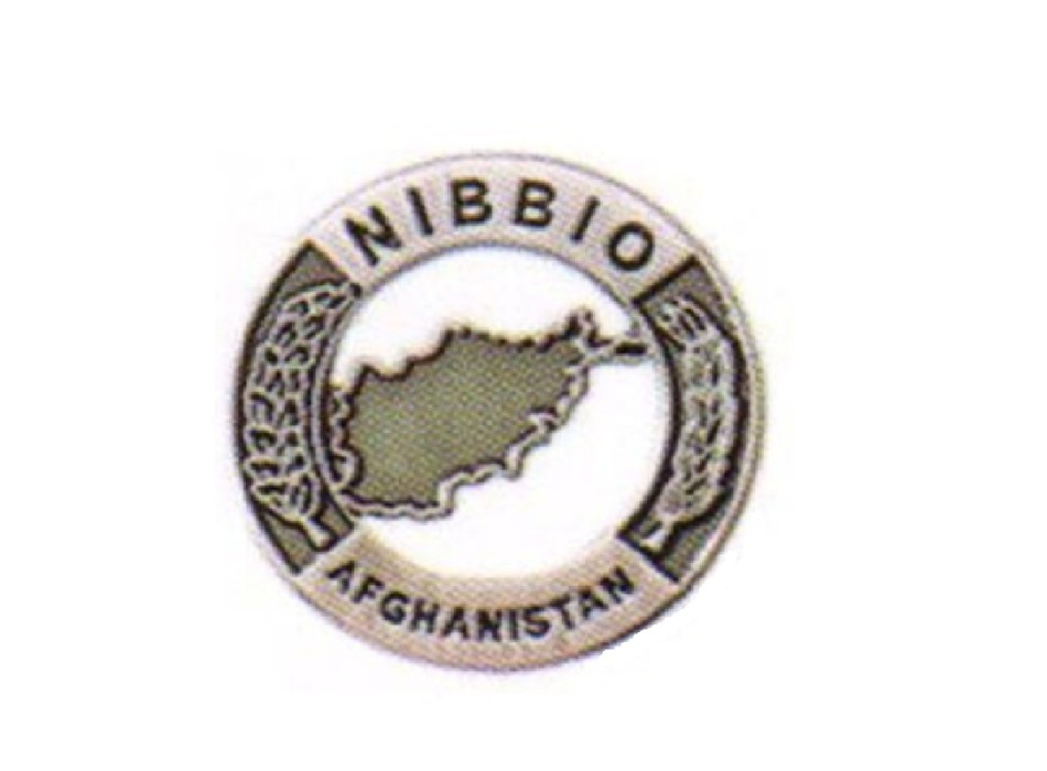 distintivo nibbio afghanistan spilla militare missione Divisa Militare