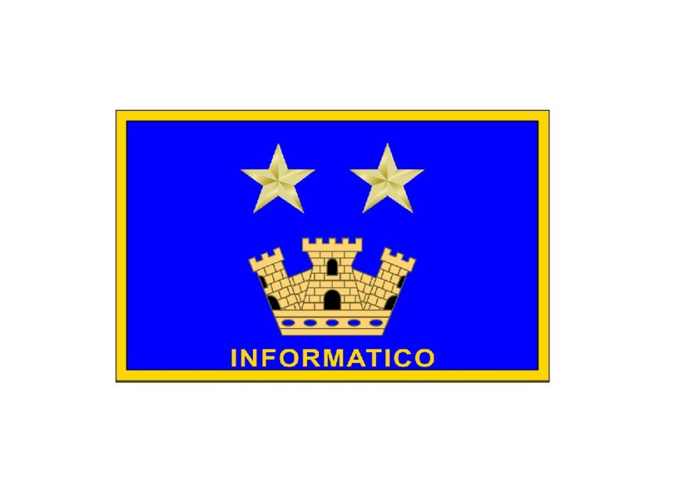 Distintivo qualifica Vigili del Fuoco VVF Informatico due stella e torre Divisa Militare