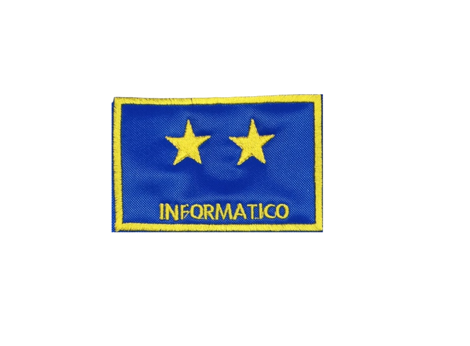 Distintivo qualifica Vigili del Fuoco VVF Informatico due stella Divisa Militare