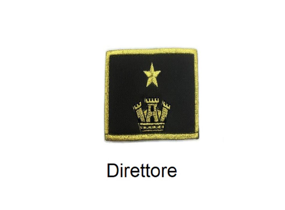 Distintivo qualifica Vigili del Fuoco VVF Vigile Del Fuoco Direttore grado quadrato Divisa Militare