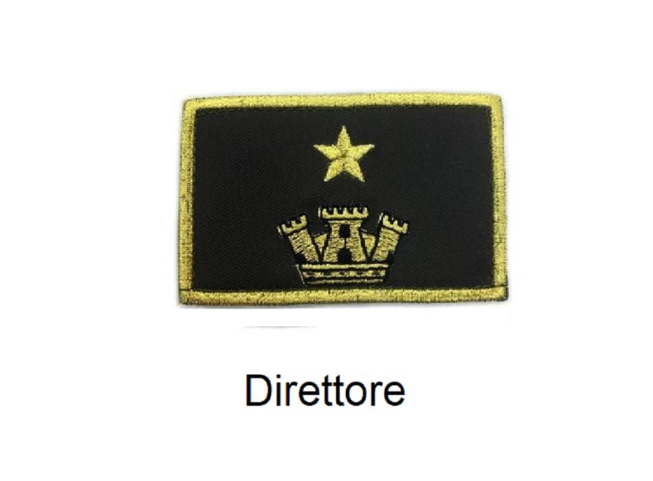 Distintivo qualifica Vigili del Fuoco VVF Vigile Del Fuoco Direttore grado Divisa Militare