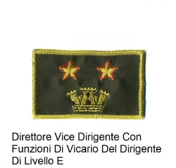 Distintivo qualifica Vigili del Fuoco VVF Vigile Del Fuoco Direttore Vice Dirigente Con Funzioni Di Vicario Del Dirigente Di Livello E grado Divisa Militare