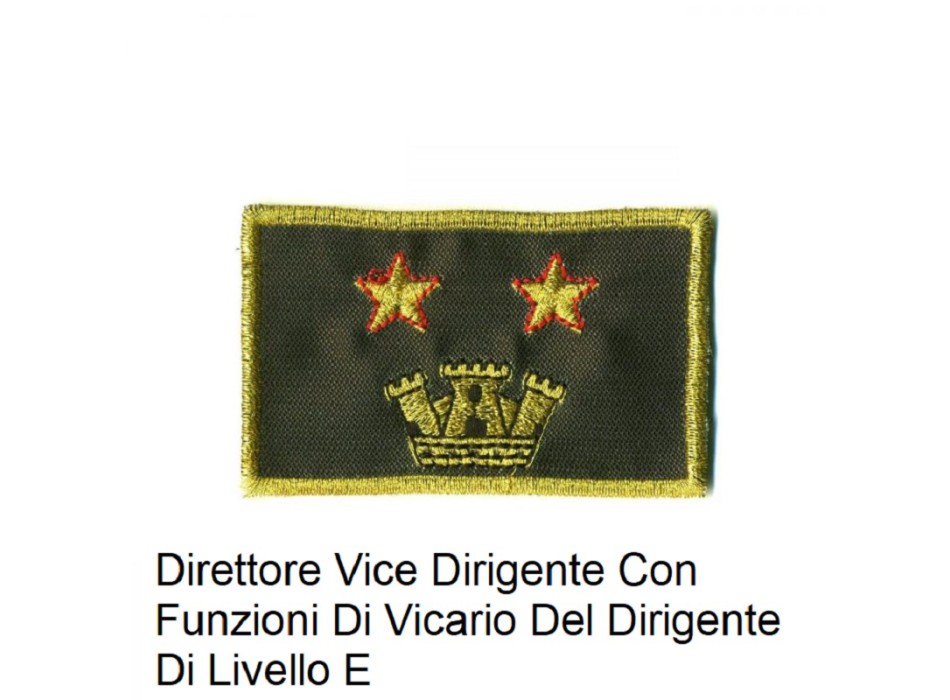 Distintivo qualifica Vigili del Fuoco VVF Vigile Del Fuoco Direttore Vice Dirigente Con Funzioni Di Vicario Del Dirigente Di Livello E grado Divisa Militare