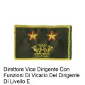 Distintivo qualifica Vigili del Fuoco VVF Vigile Del Fuoco Direttore Vice Dirigente Con Funzioni Di Vicario Del Dirigente Di Livello E grado