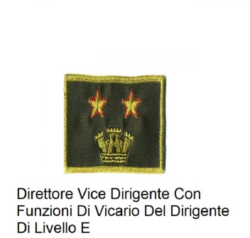 Distintivo qualifica Vigili del Fuoco VVF Vigile Del Fuoco Direttore Vice Dirigente Con Funzioni Di Vicario Del Dirigente Di Livello E grado quadrato Divisa Militare