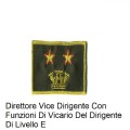 Distintivo qualifica Vigili del Fuoco VVF Vigile Del Fuoco Direttore Vice Dirigente Con Funzioni Di Vicario Del Dirigente Di Livello E grado quadrato