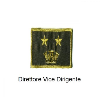 Distintivo qualifica Vigili del Fuoco VVF Vigile Del Fuoco Direttore Vice Dirigente grado quadrato Divisa Militare