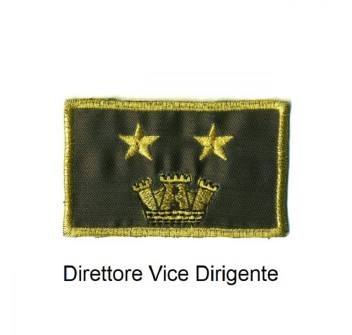 Distintivo qualifica Vigili del Fuoco VVF Vigile Del Fuoco Direttore Vice Dirigentegrado Divisa Militare