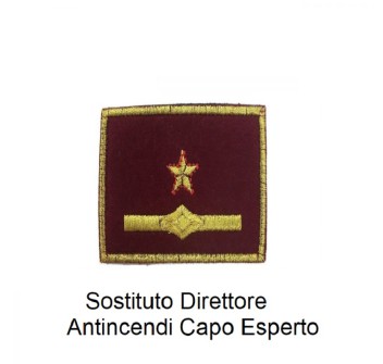 Distintivo qualifica Vigili del Fuoco VVF Vigile Del Fuoco Sostituto Direttore Antincendi Capo Esperto grado quadrato Divisa Militare