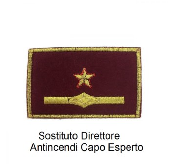 Distintivo qualifica Vigili del Fuoco VVF Vigile Del Fuoco Sostituto Direttore Antincendi Capo Esperto grado Divisa Militare