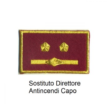 Distintivo qualifica Vigili del Fuoco VVF Vigile Del Fuoco Sostituto Direttore Antincendi Capo grado Divisa Militare