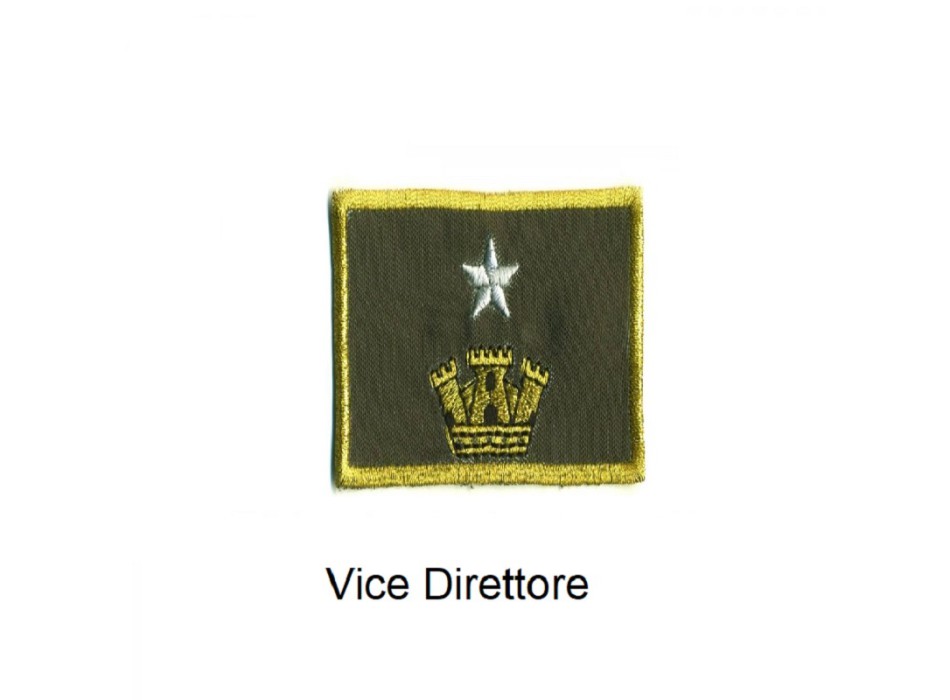 Distintivo qualifica Vigili del Fuoco VVF Vigile Del Fuoco Vice Direttore grado quadrato Divisa Militare