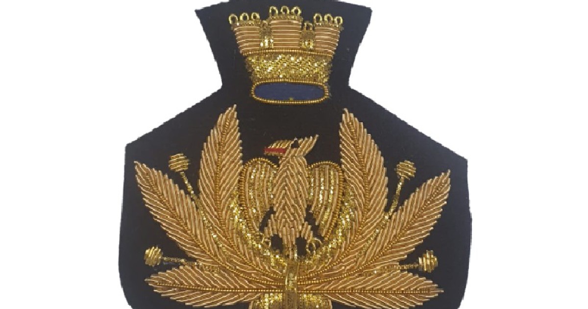 Fregio ricamato canottiglia Aeronautica Militare tesa donna