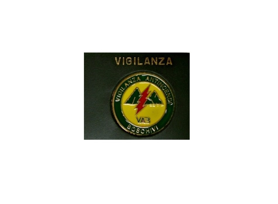 Inserto con placca vab vigilanza ambientale boschiva v.a.b. Divisa Militare