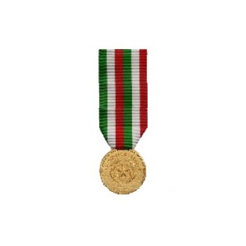 Medaglia d'Oro al merito civile Divisa Militare