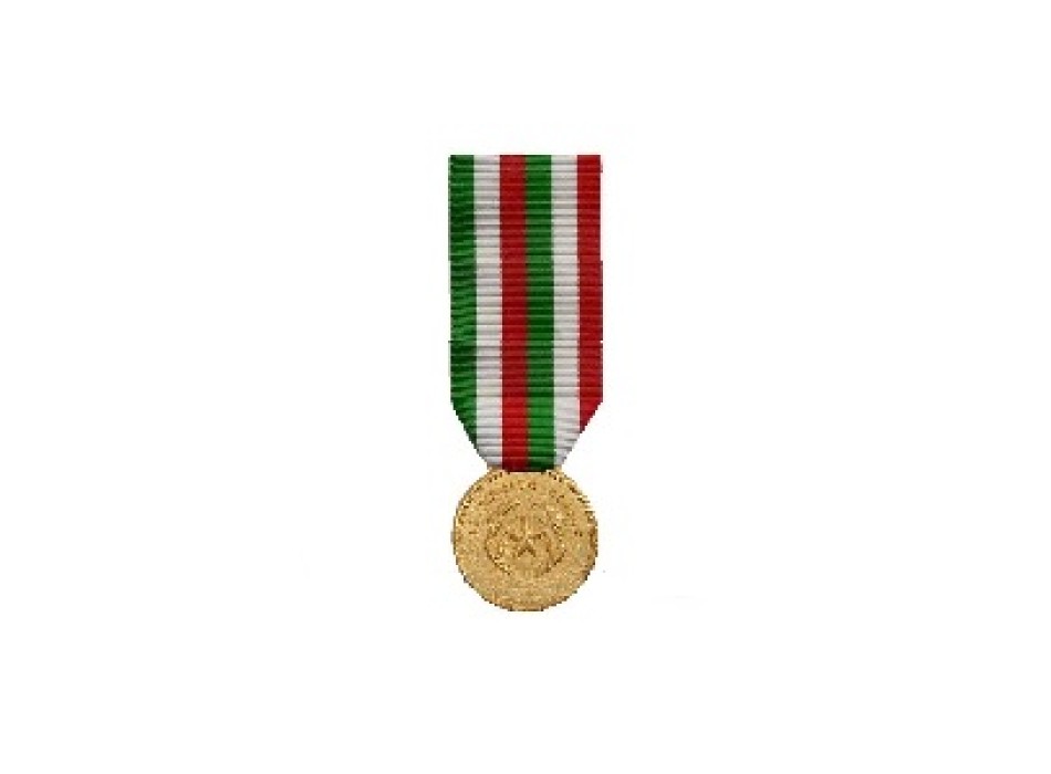 Medaglia d'Oro al merito civile Divisa Militare