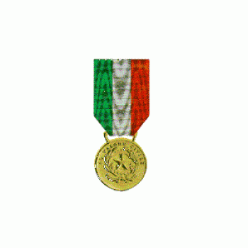 Medaglia d'Oro al Valor Civile Divisa Militare