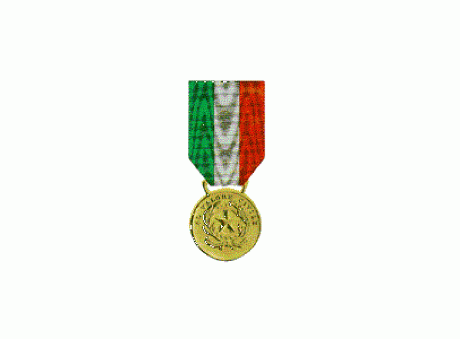 Medaglia d'Oro al Valor Civile Divisa Militare