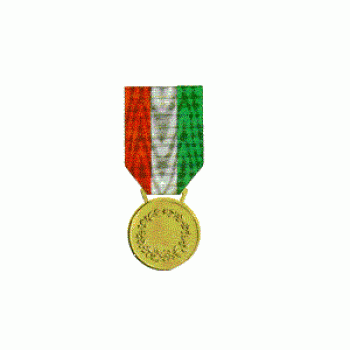 Medaglia d'Oro al Valor Civile Divisa Militare