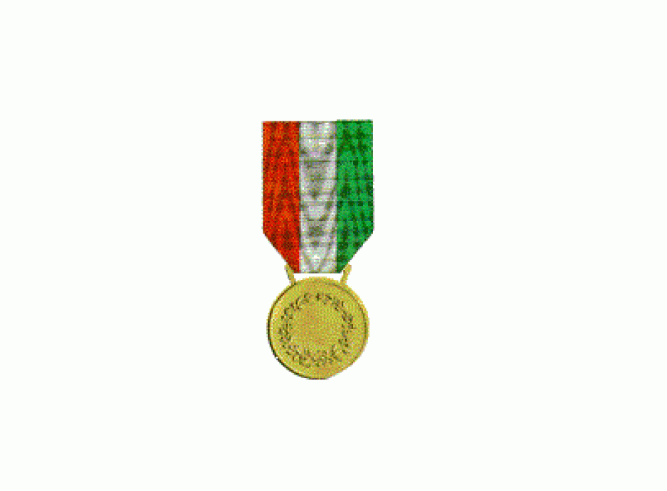 Medaglia d'Oro al Valor Civile Divisa Militare