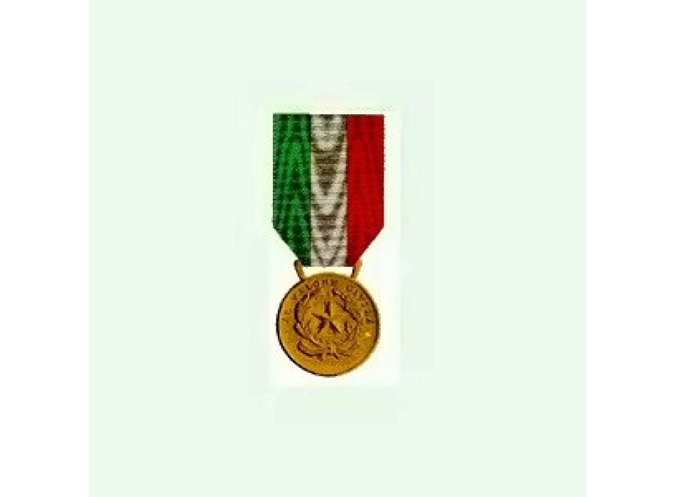 Medaglia di Bronzo al Valor Civile Divisa Militare