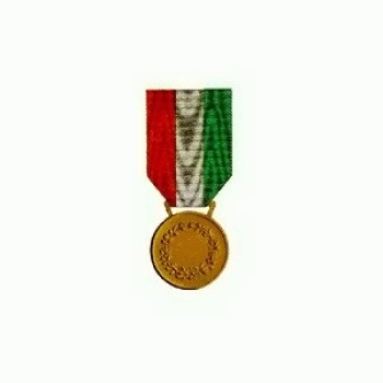 Medaglia di Bronzo al Valor Civile Divisa Militare