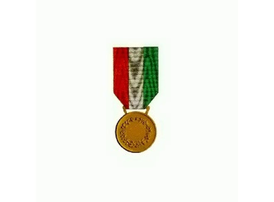 Medaglia di Bronzo al Valor Civile Divisa Militare