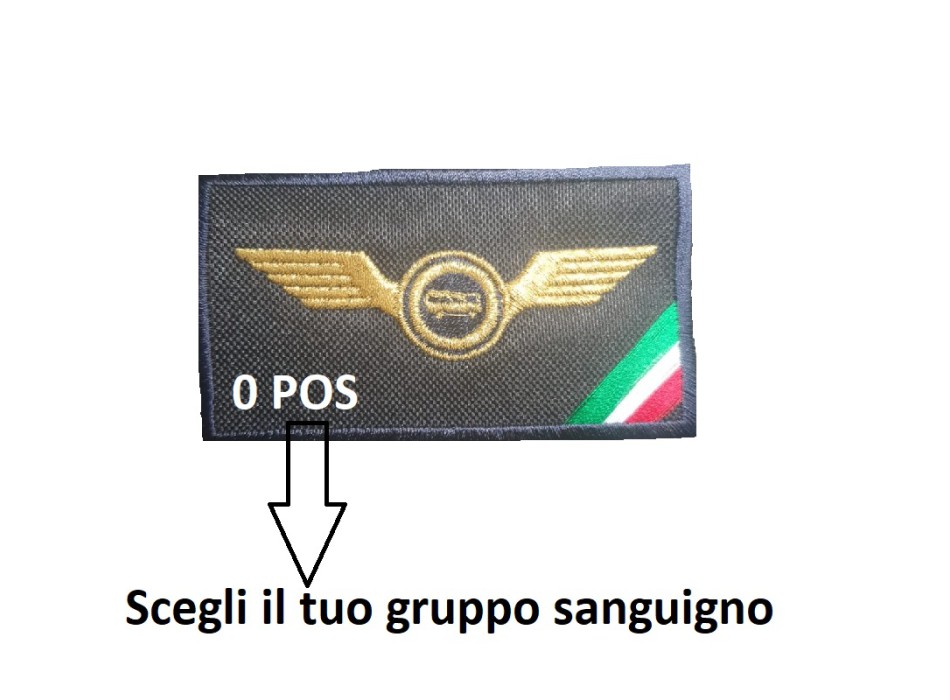 Patch Autista guida veloce pullman con tricolore + gruppo sanguigno Divisa Militare