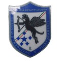 Patch Polizia Penitenziaria Traduzioni e Piantonamento ricamata