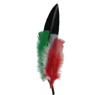 Penna Alpino nera con tricolore Divisa Militare