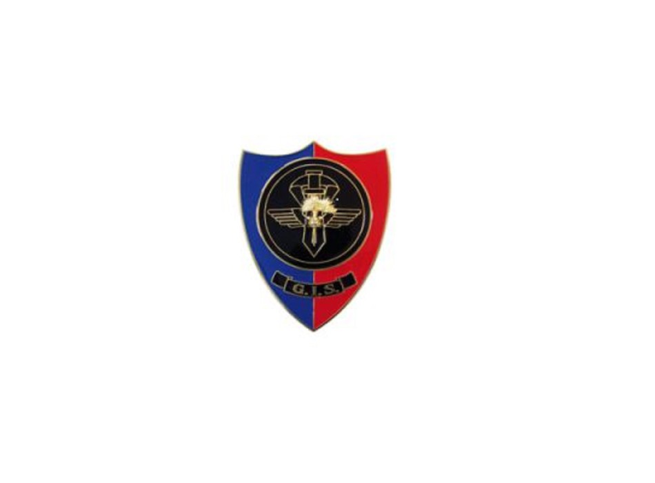 Pin Carabinieri gis g.i.s. distintivo spilla Divisa Militare