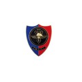 Pin Carabinieri gis g.i.s. distintivo spilla