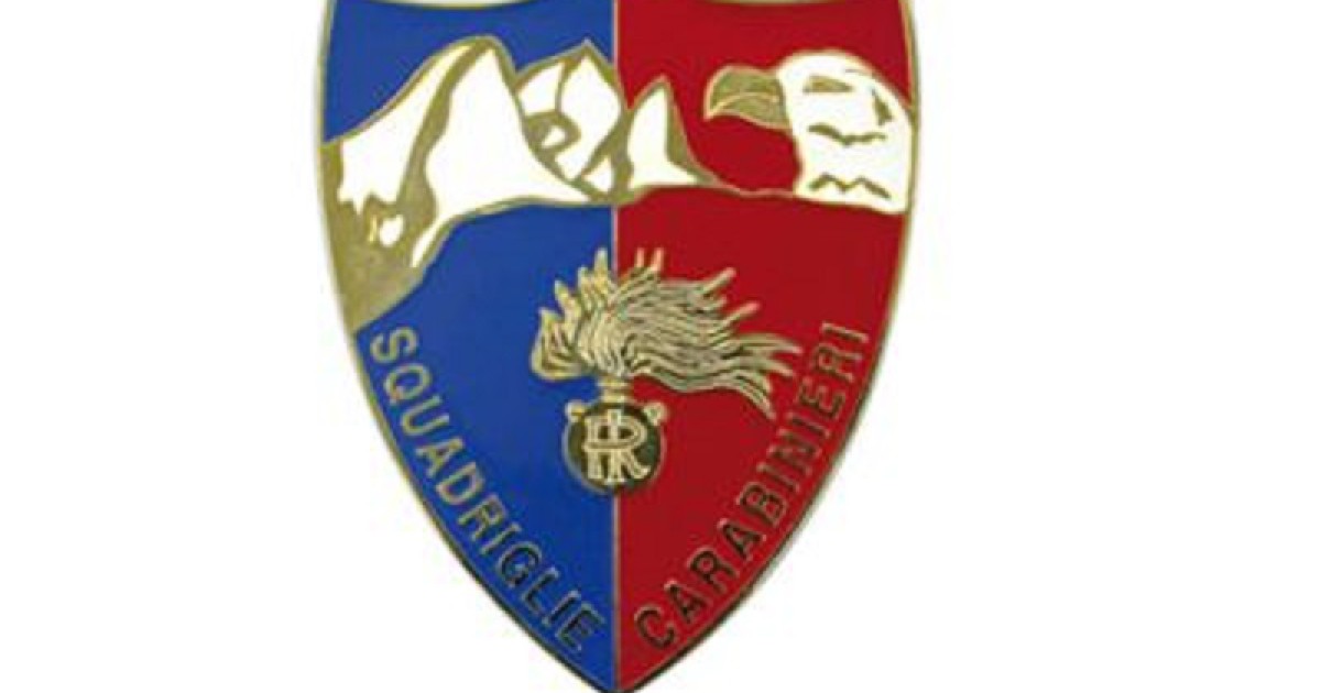 Pins Distintivo Carabinieri Squadriglie Carabinieri Prodotto