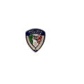 Pin Polizia Locale Pegaso metallo mini spilla