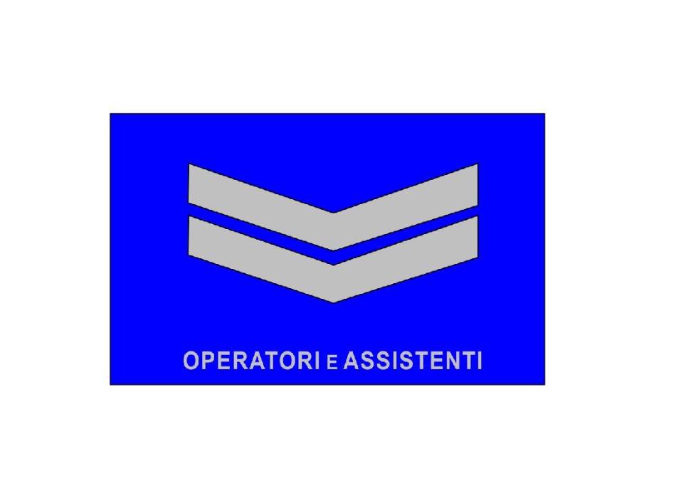 Qualifica Operatori e assistenti Vigili del Fuoco VVF due baffi Divisa Militare