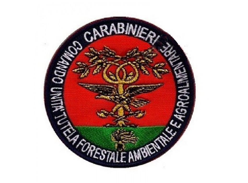 Scudetto patch Carabinieri Forestale Divisa Militare