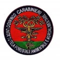 Scudetto patch Carabinieri Forestale